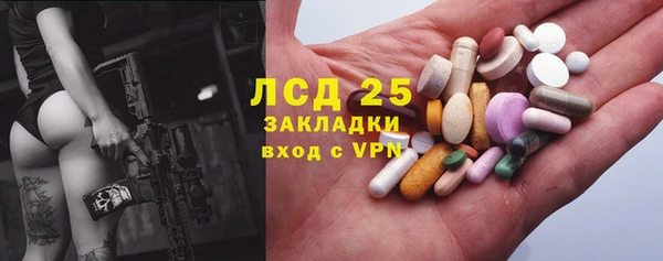 прущие грибы Аркадак