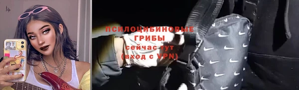 прущие грибы Аркадак