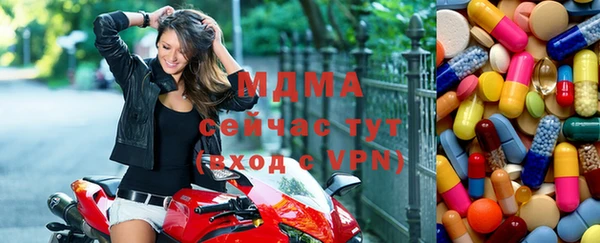 прущие грибы Аркадак