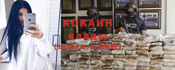прущие грибы Аркадак