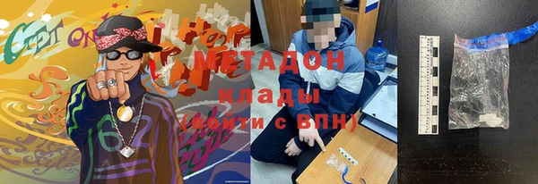 прущие грибы Аркадак